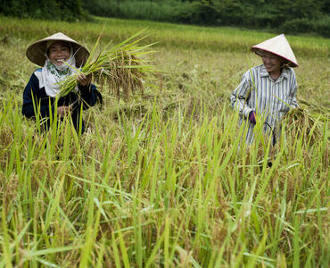 kleinschalige landbouw laos